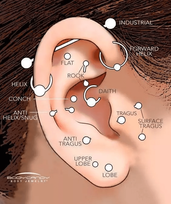 不同 位置的耳洞示意图