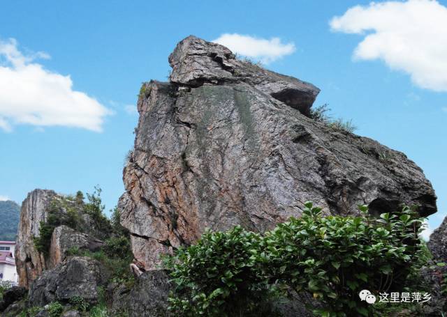 【汇总】萍乡市十佳最美森林旅游景点评选结果出炉,快