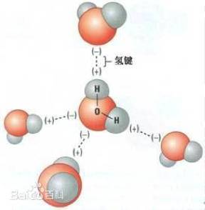 简单来说,水分子间会存在氢键(一种特殊的分子间或分子内相互作用)