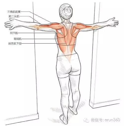 肩屈肌拉伸 拉伸步骤:1面朝门口或墙角站立.