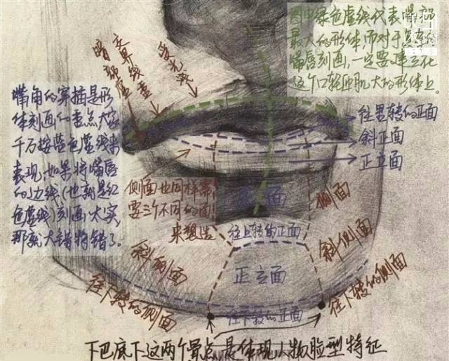 素描嘴部大解析:结构,塑造,画法,特征,步骤要点(么么哒)