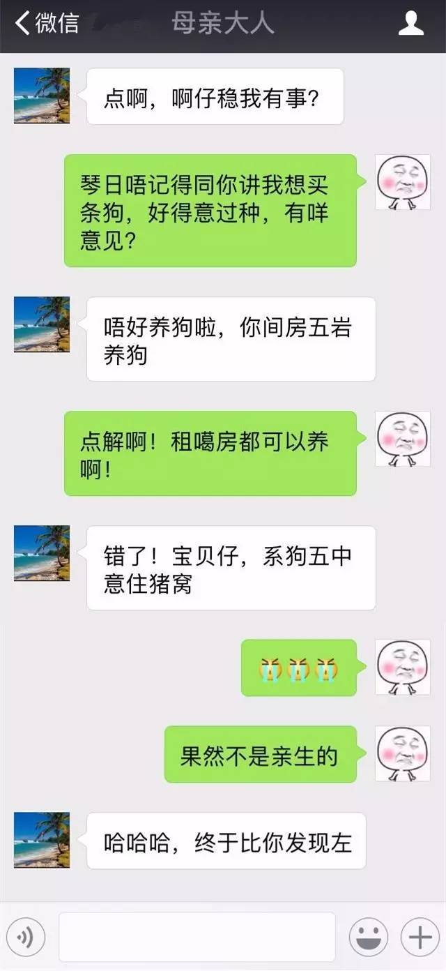 广州仔和妈妈的聊天记录曝光,信息量好大,笑抽了.
