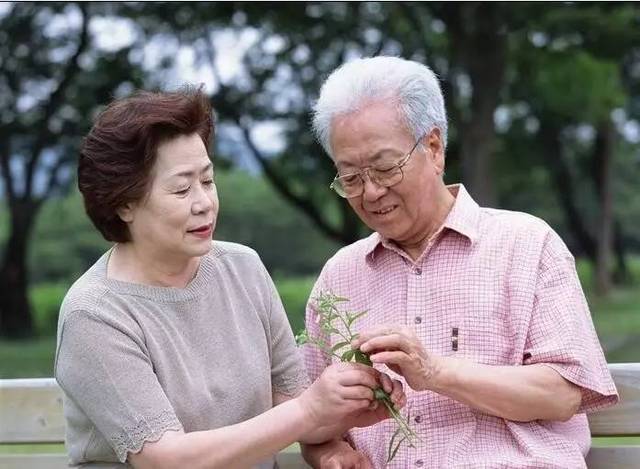 一个完整的家庭,离不开慈祥的老人.