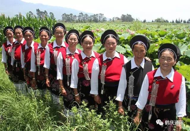 鹤庆县母屯村:打造荷花风光乡村游致富路