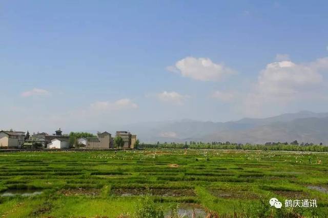 草海镇母屯村地处鹤庆坝子中心东西草海之间,与银都水乡新华4a级景区