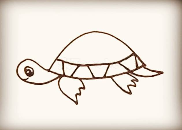 幼儿园海洋动物系列简笔画大全
