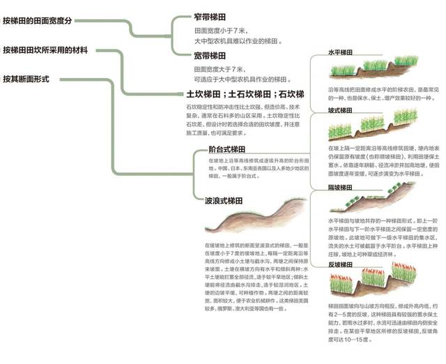 地理知识 | 梯田,雕刻在大地上的等高线