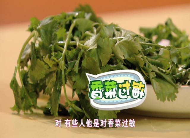 【科普】|孩子不吃香菜?告诉您那不是挑食,是基因在作怪!