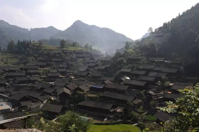 古丈翁草村,2014年