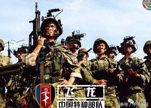 2,南京军区飞龙特种部队