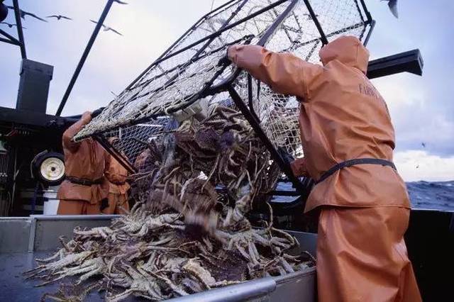 (图片来自discovery节目《恶海捕蟹记》)