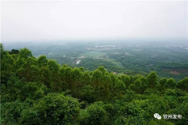 钦南区那丽镇那雾山森林公园