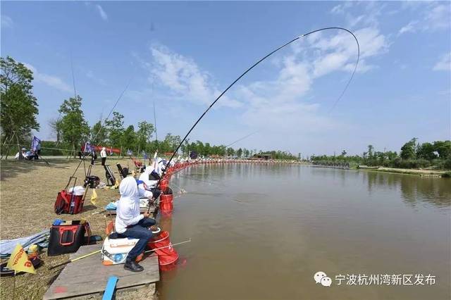 国家级钓鱼总决赛今天宁波杭州湾国家湿地公园开钓,看