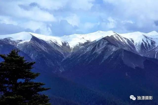 雪山千年恋