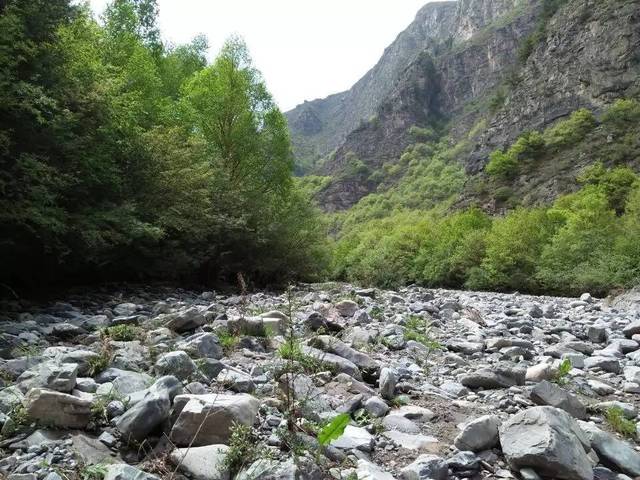 临潭人口_临潭县城全景