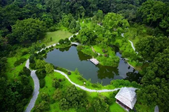 庞大的园地规模以及许多罕见的植物种类也使其成为 "广州市十佳旅游