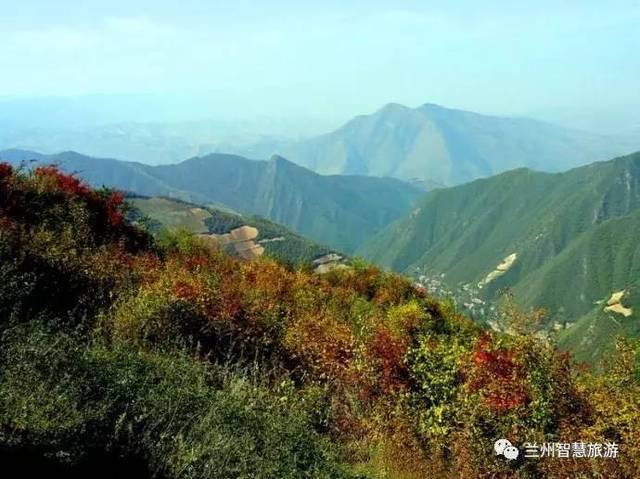 兰州七里河区阿干镇云顶山 风景区四季如画 春季 野花遍地,柳绿花红