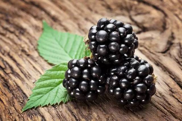 黑莓是蔷薇科的,是聚合果,具有毛茸茸的果柄和花萼.