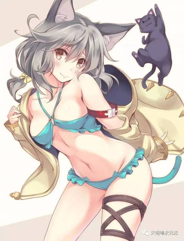 【今日福利】猫耳娘与你不说的秘密