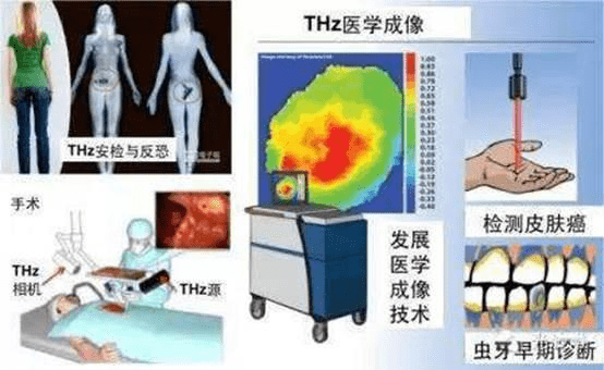 绿韵细胞理疗仪的原理是什么_幸福是什么图片(3)