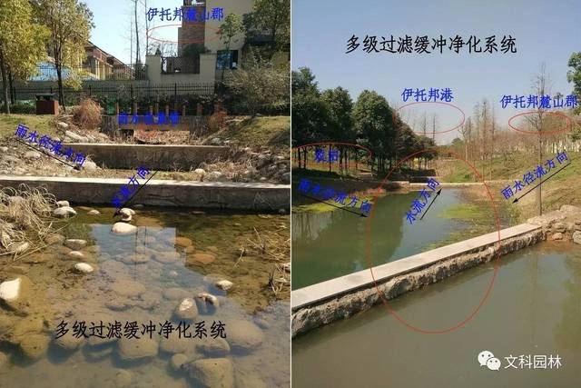 延缓径流速度,增强人工湿地过滤净化能力