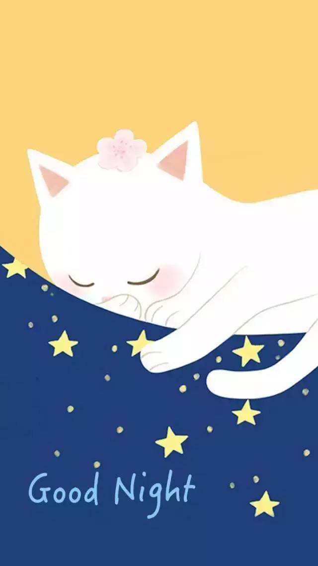【米修の萌宠】萌猫跟你说晚安!晚安猫咪壁纸合集