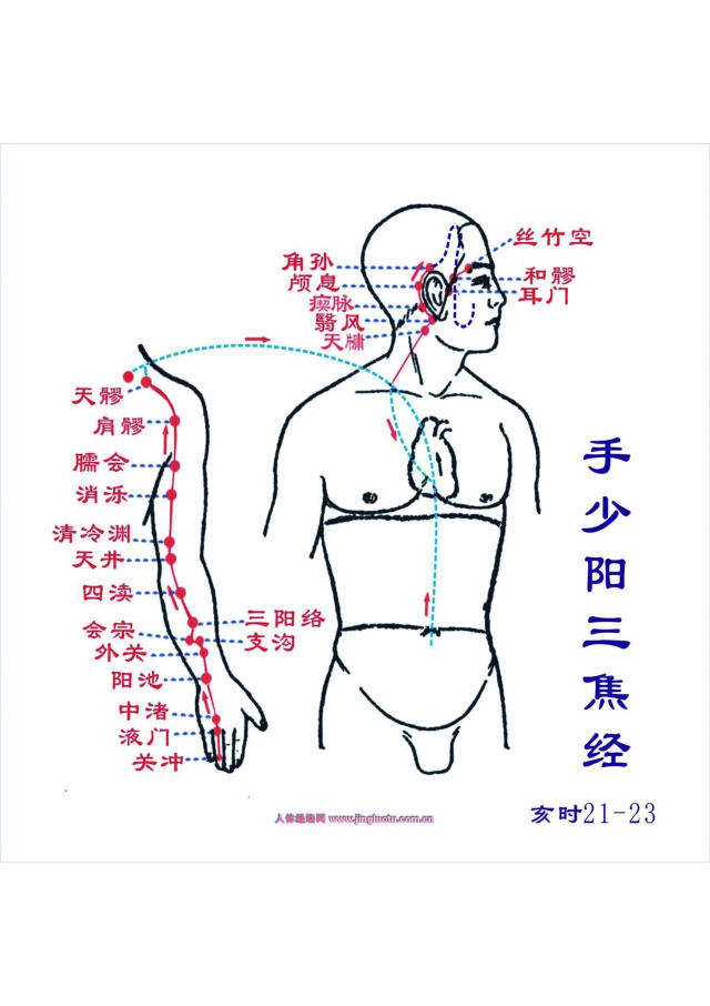 手厥阴心包经 手少阳三焦经与健身气功