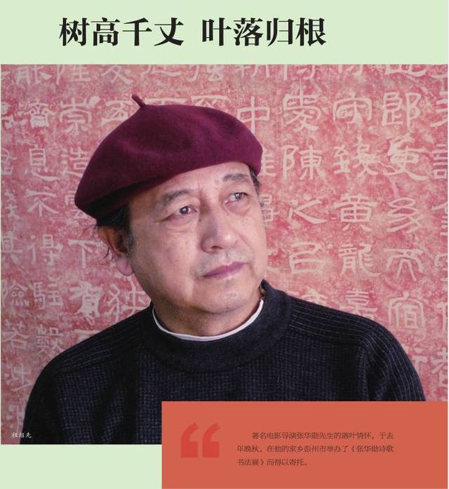 著名导演张华勋深情一跪谢恩人:71年,终于等到赵小姐!