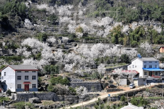 小溪塔街道文仙洞村