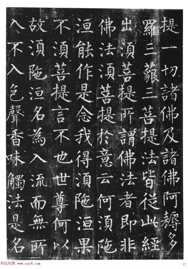 中国碑帖经典:《柳公权金刚经》,上海书画出版社.
