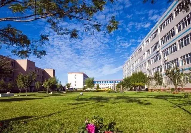 4,河北民族师范学院 66%