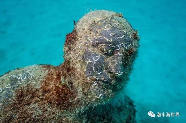 "非潜水员莫进"的海底艺术馆-昨日涂鸦艺人,今日雕塑大师