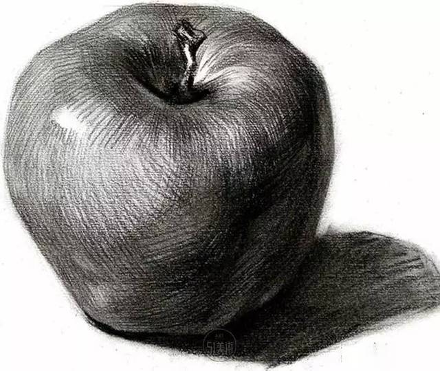 素描| 苹果就是用来"吃"的,如果会画就再好不过了