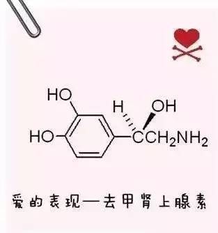 爱的开始—去甲肾上腺素使你砰然心动