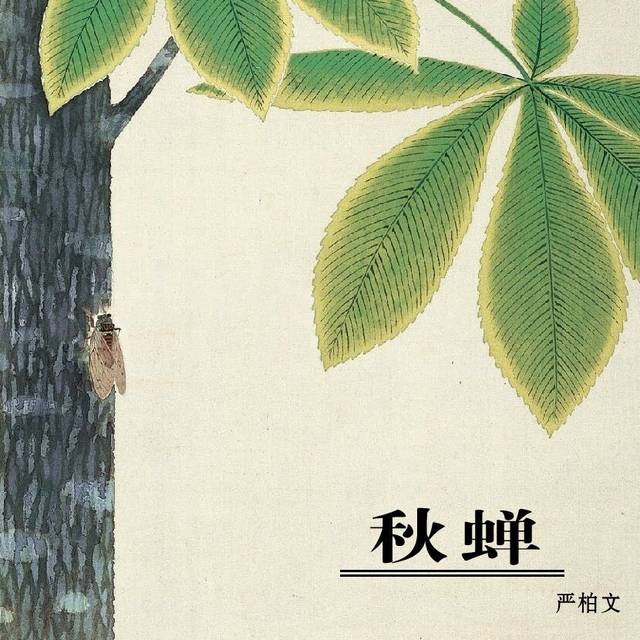 《秋蝉》,将简单岁月沉淀出美