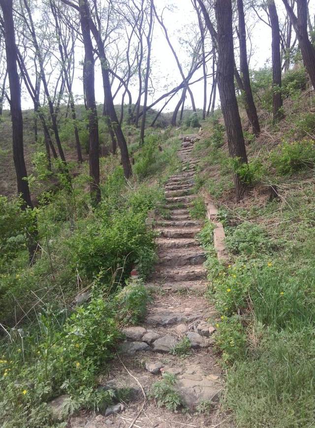 抚顺千台山,樊梨花的老地盘,现在半山崖还能看到特别的煤层