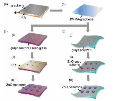图6水热法在石墨烯片上合成规则排列的zno纳米棒示意图