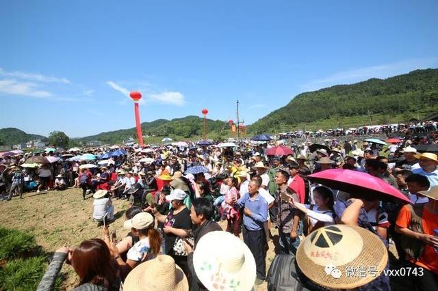 湘西农村人口_湘西自治州农村贫困人口饮水安全巩固(3)