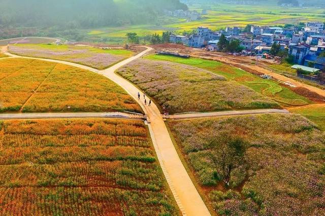 探访武平美丽乡村新名片:光棍村成了旅游村,美了城厢镇富了老百姓