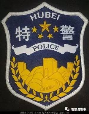 湖北公安特警统一使用的臂章