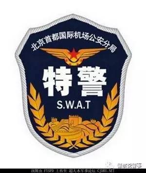 最全特警标志臂章图集