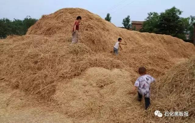 打场,晒麦,交公粮……那些年农村割麦子的照片勾起无限回忆