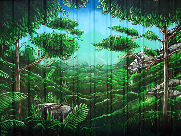 后院里的热带雨林:手绘墙壁画打造庭院空间