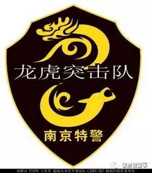 南京市公安局特警支队龙虎突击队臂章