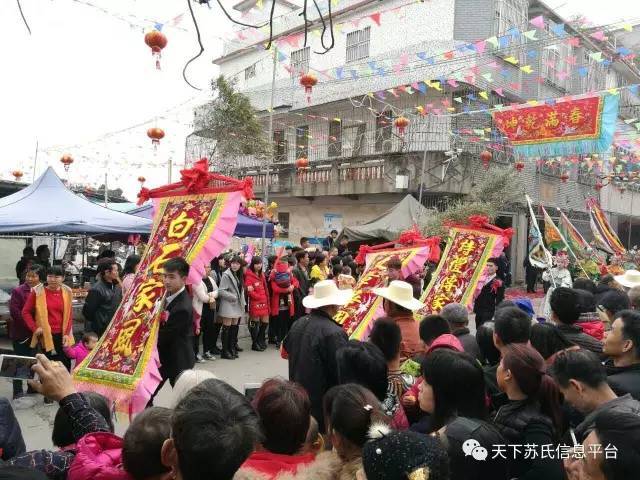 普宁南径碧屿村丁酉年妈祖莲驾出游!