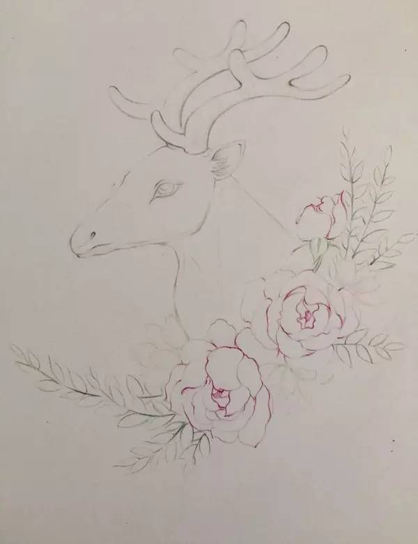 如何画出有仙气的鹿