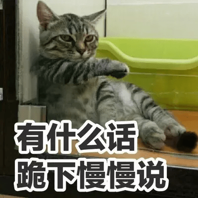 你有没有发现最近猫的表情包贼多?