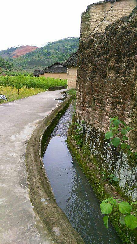 水渠深情