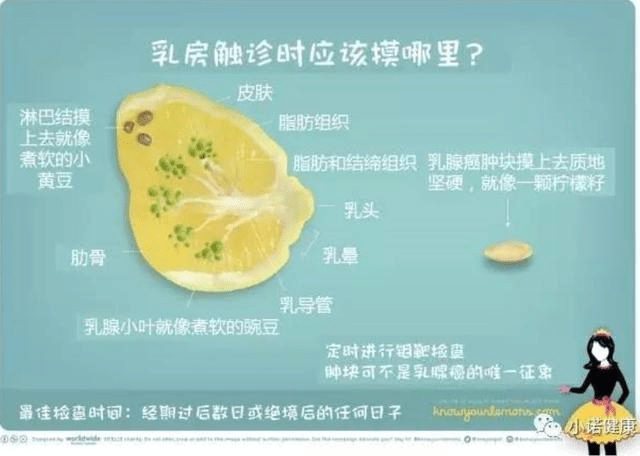 没有什么症状,特别是当肿瘤非常小的时候,基本是靠触诊无法检测出来的