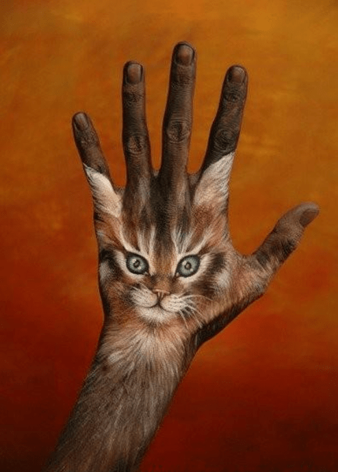 彩绘画在手上,竟然可以变成这么多种动物!
